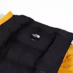 The North Face 1996 Retro Nuptse Jacket In Gold for men